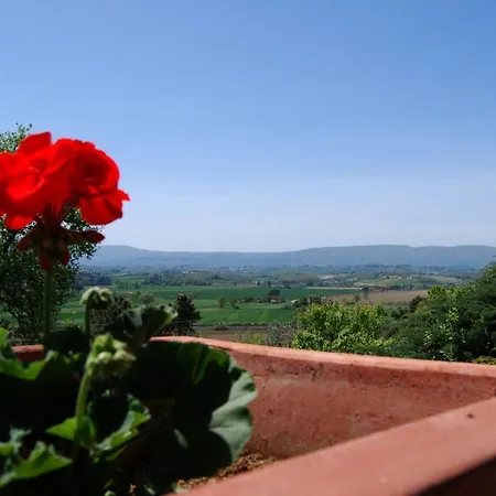 Porto Sleeps 16 Pool Wifi Willa Dolciano